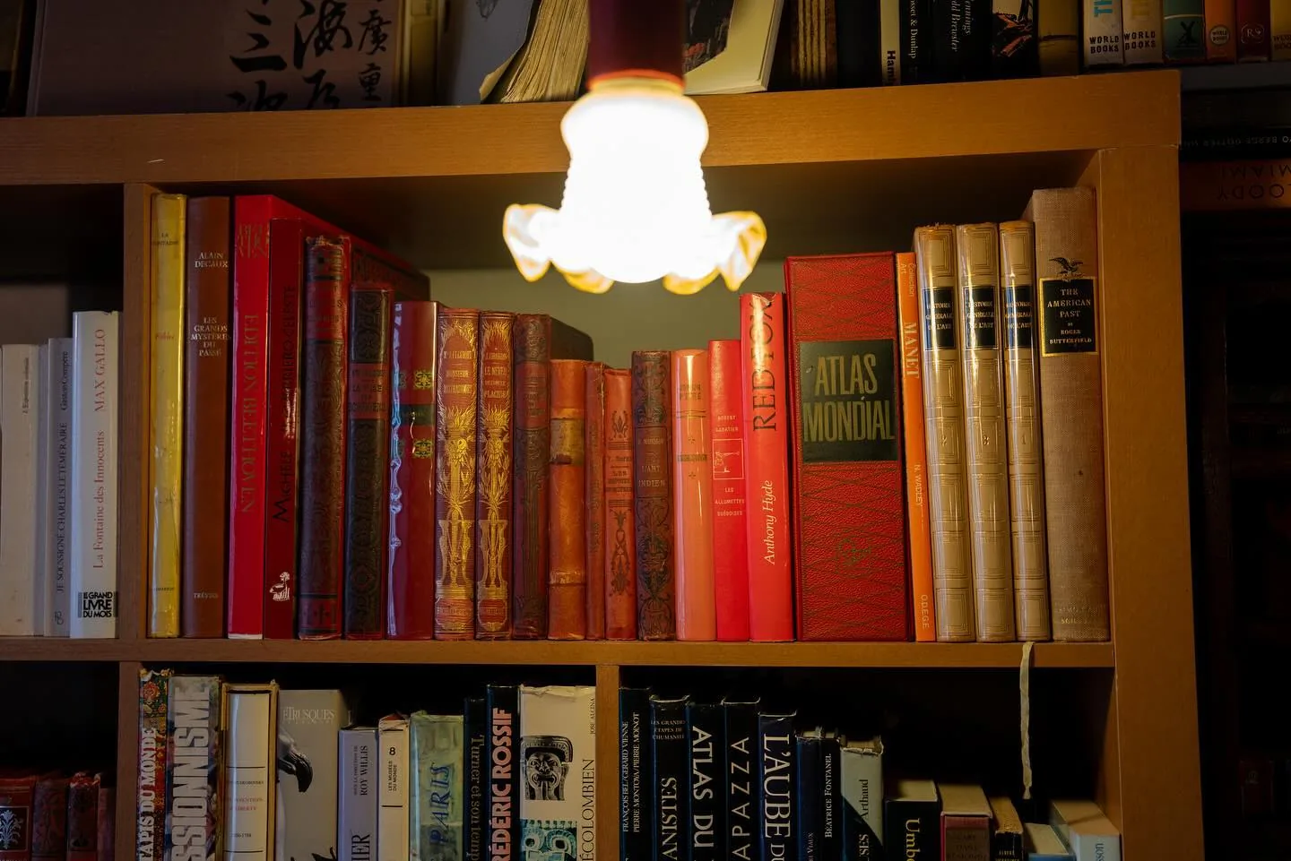 Bibliothèque éclairée par une suspension tulipe en verre